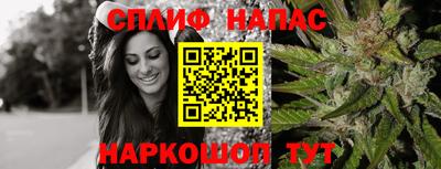 гидра Гусев