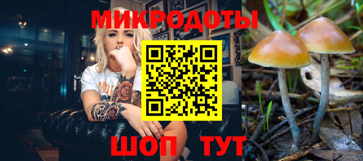 Каспийск  Псилоцибиновые грибы Magic Shrooms  Вход с VPN 
